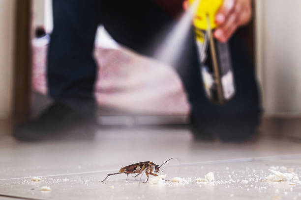 Pest Control Cost in Tonto Basin, AZ